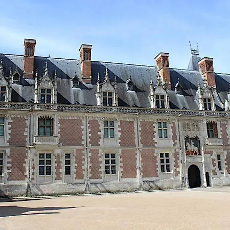 Le Nid De La Mesange Parking Gratuit Apartment Blois Exterior photo